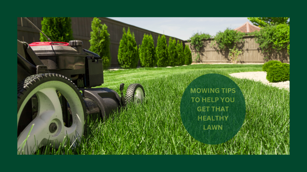 PRACTICAL MOWING TIPS FOR A HEALTHY LAWN